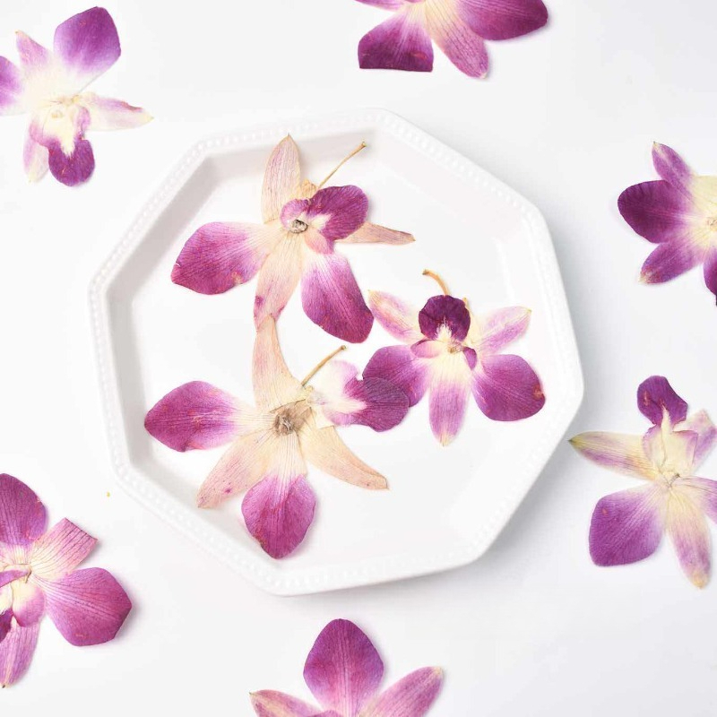 Resin Craft Ideas - 4 Buah, Bunga Anggrek Kupu-kupu Asli