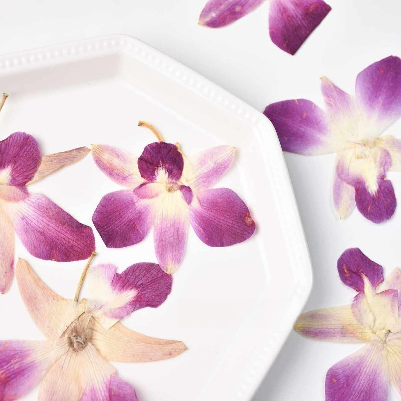 4 Buah, Bunga Anggrek Kupu-kup - Resin Craft Ideas ulasan dan harga