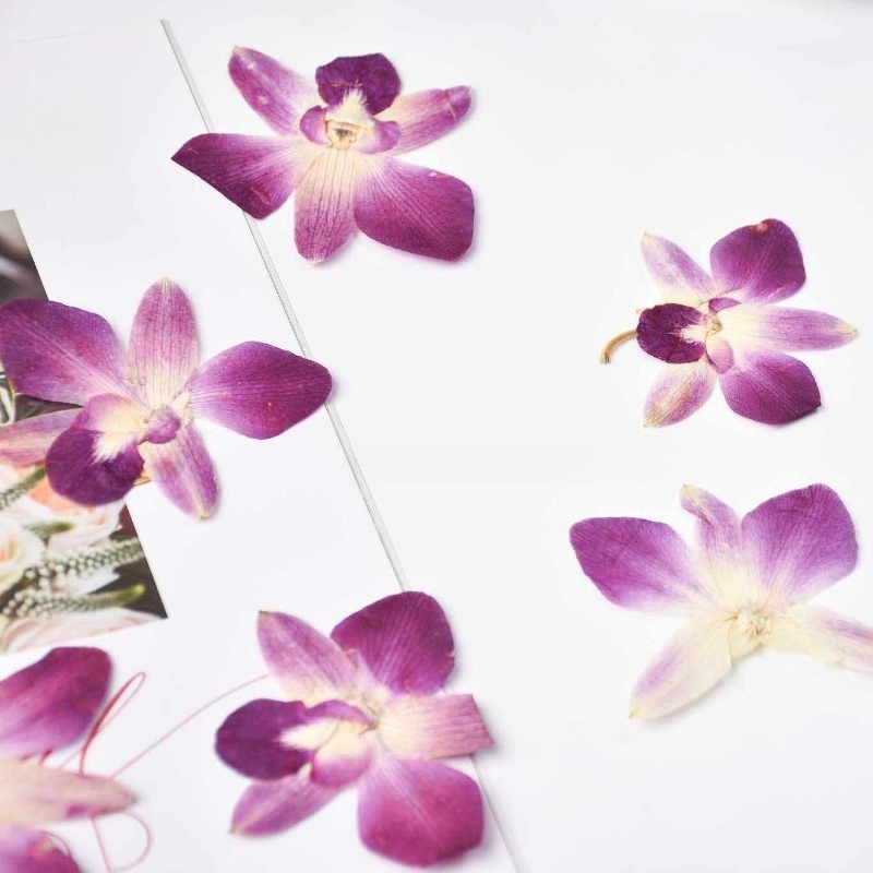 4 Buah, Bunga Anggrek Kupu-kup - Resin Craft Ideas ulasan dan harga