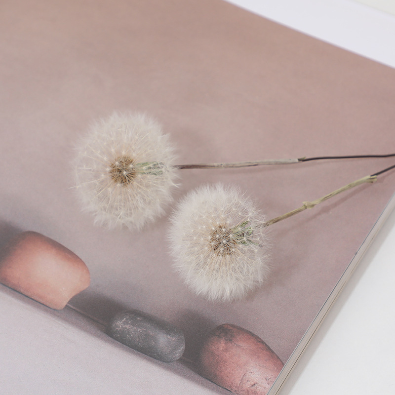 Kit Kerajinan Resin Epoksi DIY - Resin Crafts Diy ulasan dan harga